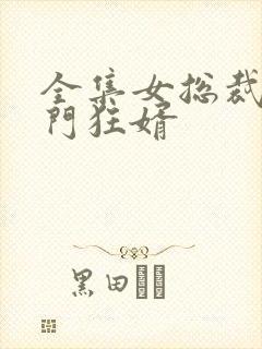 全集女总裁的上门狂婿