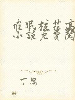 催眠校花高芷柔小说免费阅读封面