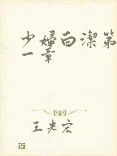 少妇白洁第二十一章