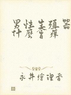 男性生殖器官为什么会痒