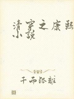 清穿之康熙锦妃小说