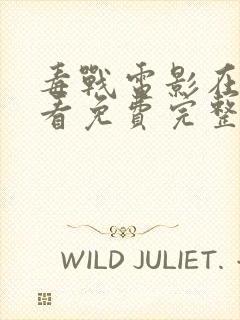 毒战电影在线观看免费完整版