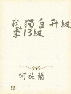 我独自升级第二季13级封面