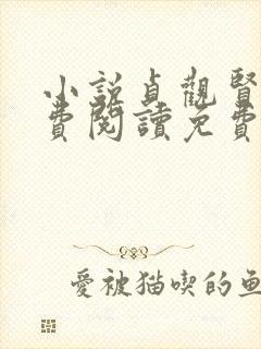 小说贞观贤王免费阅读免费