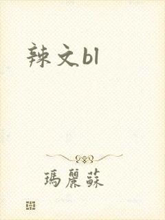 辣文bl封面