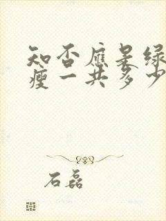 知否应是绿肥红瘦一共多少集