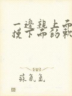 一边亲上面一边摸下面的软件