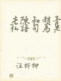 老陈和赵青窃窃私语司马光小说