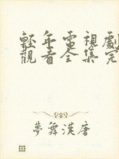 轻年电视剧免费观看全集完整版