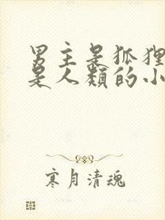 男主是狐狸女主是人类的小说