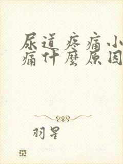 尿道疼痛小便刺痛什么原因