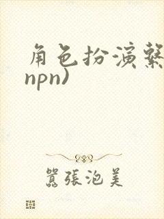角色扮演系统(npn)