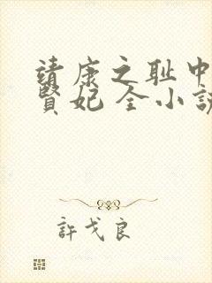 靖康之耻中的韦贤妃 全小说