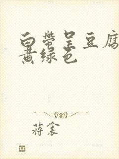 白带呈豆腐渣状黄绿色