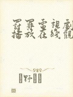 罚罪电视剧免费播放在线观看