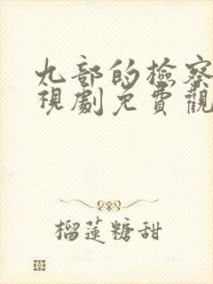 九部的检察官电视剧免费观看