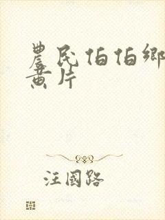 农民伯伯乡下妹黄片封面