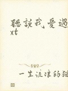 听说我爱过你txt