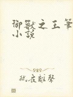 御兽之王笔趣阁小说