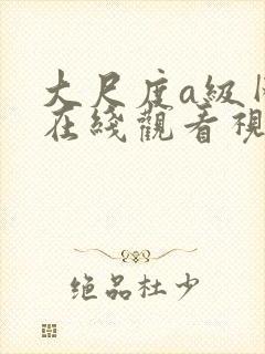 大尺度a级网站在线观看视频