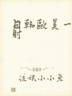 日韩欧美一级内射