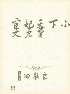 宦妃天下小说全文免费