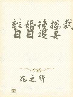 离婚后总裁前夫日日追妻