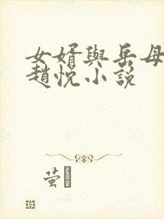 女婿与岳母陈超赵悦小说封面