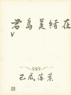 君岛美绪在线av