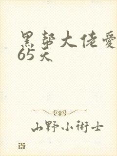 黑帮大佬爱上365天