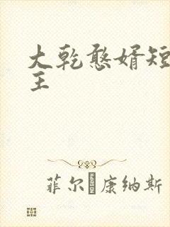 大乾憨婿短剧女主封面