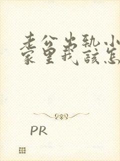 老公出轨小三领家里我该怎么办封面