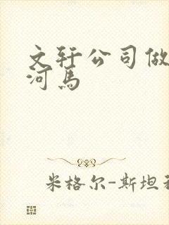 文轩公司做扩张河马