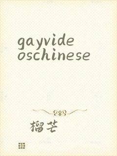 gayvideoschinese