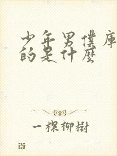 少年男仆库洛讲的是什么