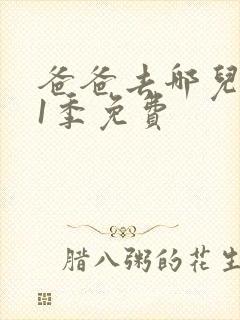 爸爸去哪儿第季1季免费