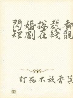 闪婚总裁都很穷短剧在线观看