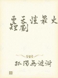 曹天恺最火十部短剧