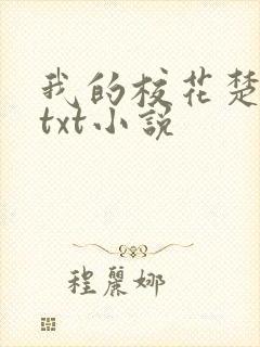 我的校花楚雅柔txt小说封面