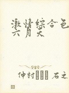 激情综合色婷婷六月天