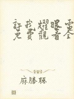 许我耀眼电视剧免费观看全集高清