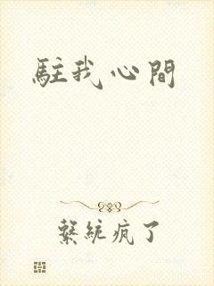 驻我心间