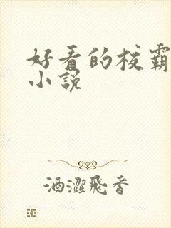 好看的校霸校园小说封面