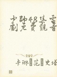 少帅48集电视剧免费观看