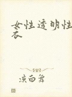 女性透明性感内衣封面