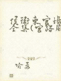 侯卫东官场笔记全集(官路风流)