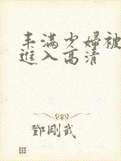 丰满少妇被猛烈进入高清封面