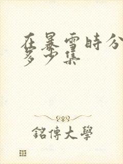 在暴雪时分一共多少集封面