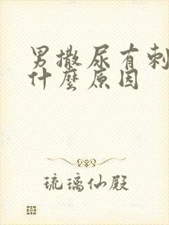 男撒尿有刺痛感什么原因封面