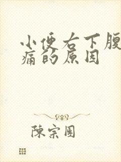 小便右下腹部隐痛的原因封面